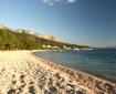 Zu den Tauchangeboten